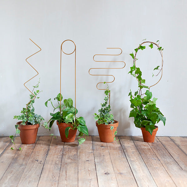 Botanopia Plant Stakes Set (4)